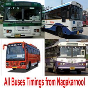 All Buses Timings from Nagarkarnool